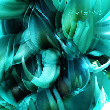 2018 MUTATIONZ cover